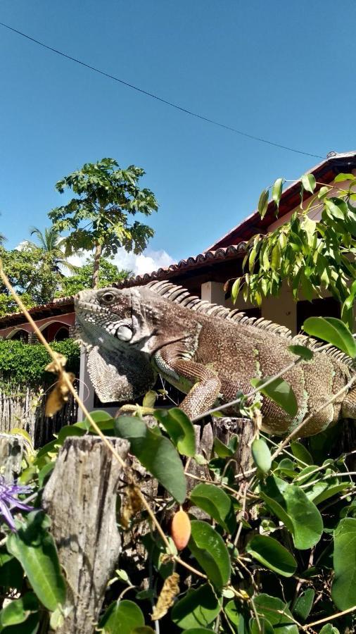 Pousada Eolos Barra Grande  Exterior foto